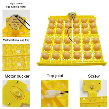 Автоматичен Инкубатор за яйца Автоматичен Инкубатор за люпене на пилета, яйца Електрически Стругове Инкубатор За Отглеждане на пилета Инструмент за извеждане на патици